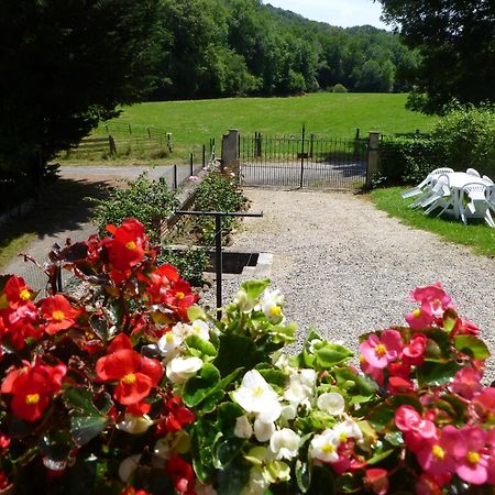 Gite Le Moulin Pres De Tarbes, Lourdes, Bagneres De Bigorre Mascaras Eksteriør billede